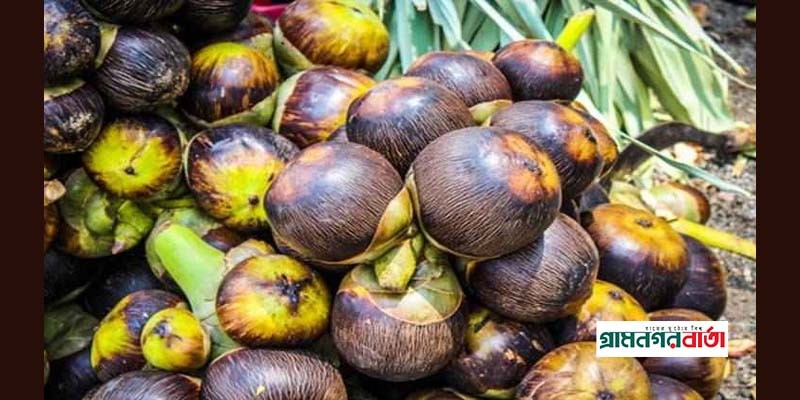 গ্রামগঞ্জে তাল পিঠা খাওয়ার ধুম