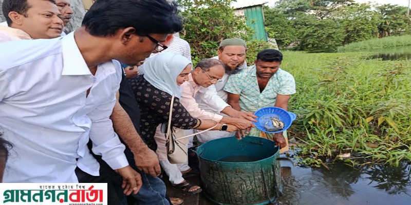 লৌহজংয়ে বিএনপির প্রতিষ্ঠাবার্ষিকীতে বিলে মৎস্য অবমুক্ত কর্মসূচি 
