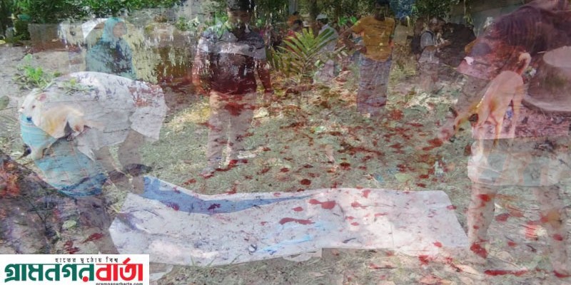 কাউনিয়ায় যত্রতত্র পশু জবাই