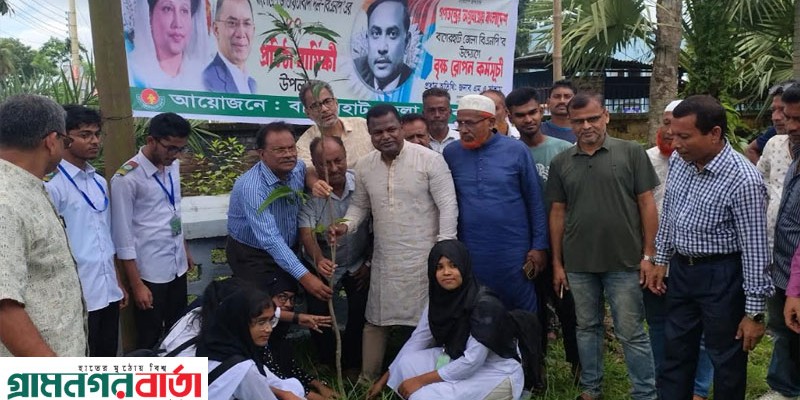 বাগেরহাটে বিএনপির ৪৭তম প্রতিষ্ঠাবার্ষিকী উপলক্ষে বৃক্ষরোপণ কর্মসূচি