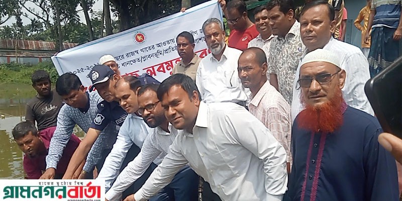 শিবগঞ্জে বিভিন্ন  জলাশয়ে পোনামাছ অবমুক্তকরণ