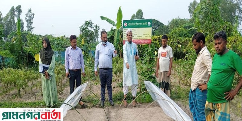 নন্দীগ্রামে সার ও কীটনাশকের দোকান পরিদর্শন করলেন উপপরিচালক নন্দীগ্রামে সার ও কীটনাশকের দোকান পরিদর্শন করলেন উপপরিচালক