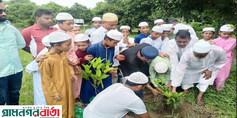 শ্রীনগরে বৃক্ষ রোপন কর্মসূচিতে এমপি প্রার্থী ফরহাদ হোসেন শ্রীনগরে বৃক্ষ রোপন কর্মসূচিতে এমপি প্রার্থী ফরহাদ হোসেন