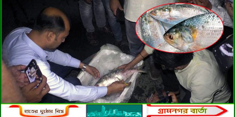 দুর্গাপূজায় প্রথম চালানে ভারতে গেলো সাড়ে ৩৭ টন ইলিশ দুর্গাপূজায় প্রথম চালানে ভারতে গেলো সাড়ে ৩৭ টন ইলিশ