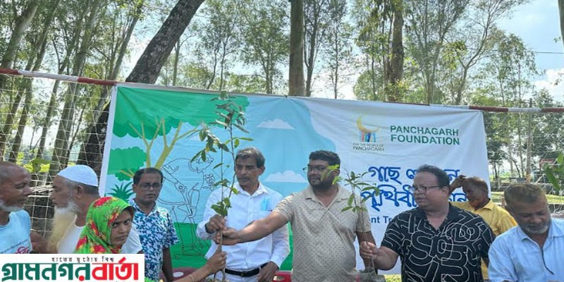 পঞ্চগড়ে বিনামূল্যে আড়াই হাজার গাছের চারা বিতরণ পঞ্চগড়ে বিনামূল্যে আড়াই হাজার গাছের চারা বিতরণ