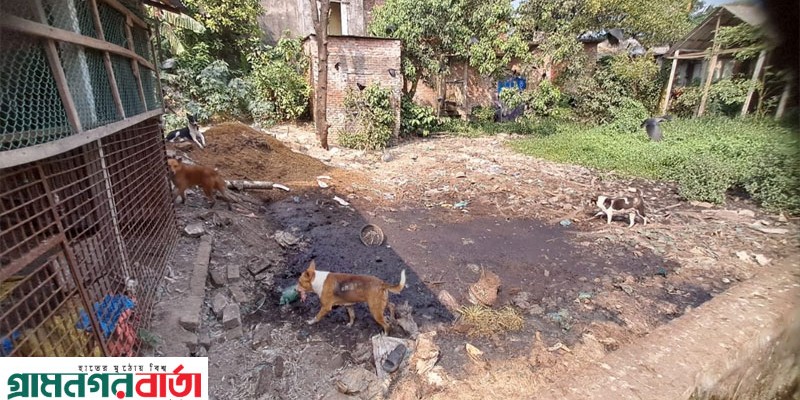 সিরাজদিখান বাজারে গরু-মুরগি-মাছ বর্জ্যের দুর্গন্ধে অতিষ্ঠ এলাকাবাসী সিরাজদিখান বাজারে গরু-মুরগি-মাছ বর্জ্যের দুর্গন্ধে অতিষ্ঠ এলাকাবাসী