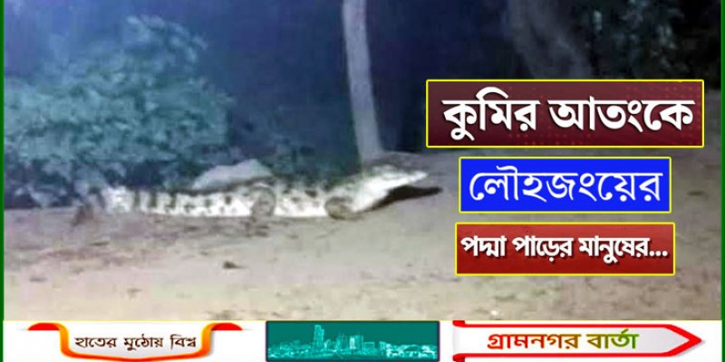 লৌহজংয়ে লোকালয়ে কুমির, আতঙ্কে এলাকাবাসী লৌহজংয়ে লোকালয়ে কুমির, আতঙ্কে এলাকাবাসী