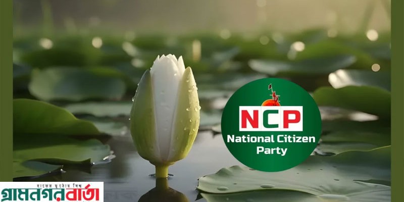 ‘শাপলা কলি’ প্রতীক মেনে নেবে এনসিপি