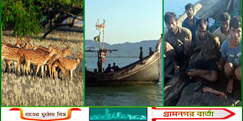 রাস পূজার ৩ দিনে ৩২ হরিণ শিকারি আটক, ট্রলার ও ফাঁদ জব্দ