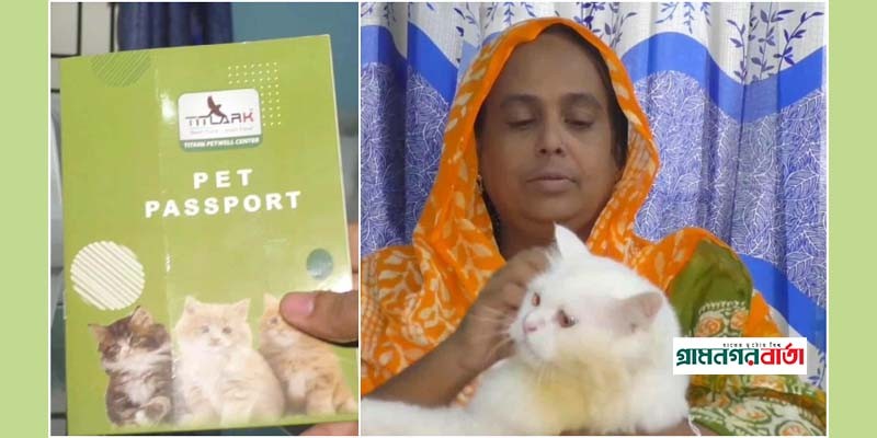 পাসপোর্ট নিয়ে মুন্সীগঞ্জের বিড়াল গেল ইতালিতে