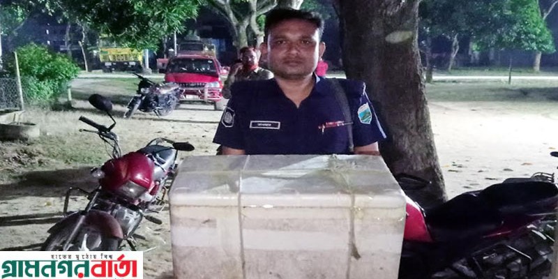 আদমদীঘিতে বিড়াল হত্যা ঘটনায় নারীর বিরুদ্ধে থানায় জিডি