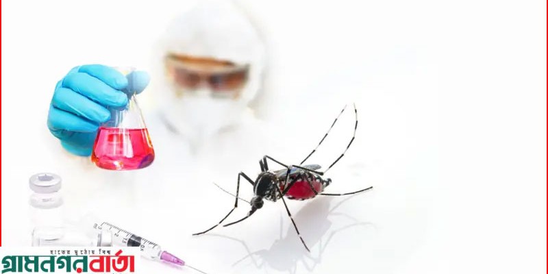 ডেঙ্গুর কি কোনো ভ্যাকসিন বা টিকা আছে, বাংলাদেশ কেন ব্যবহার করা হয় না?