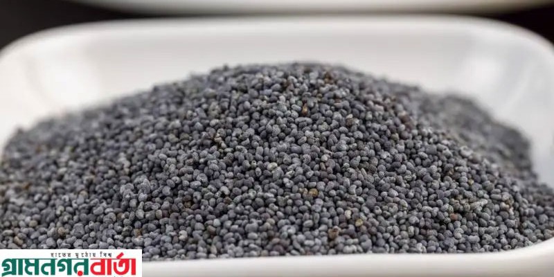 পপি সিড বা পোস্ত দানার পরিচয়, এটি নিয়ে বাংলাদেশের আইনে কী বলা আছে?