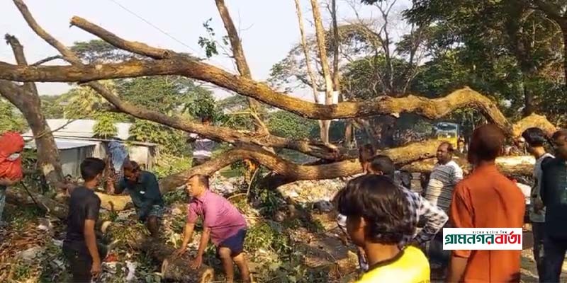 ঢাকা-বরিশাল মহাসড়কে গাছের গুড়ি ফেলে শাট ডাউন পালন