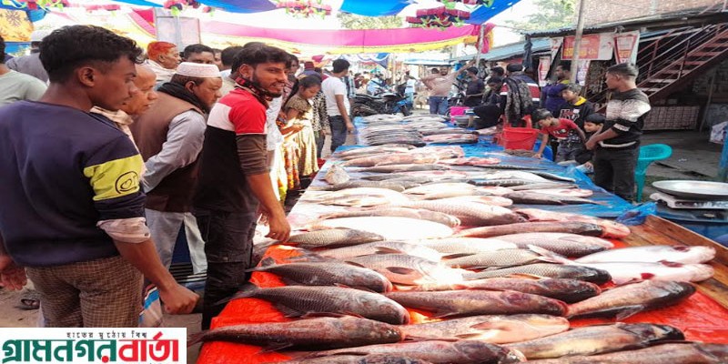 নন্দীগ্রামে নবান্ন উপলক্ষ্যে বাহারি মাছের মেলা