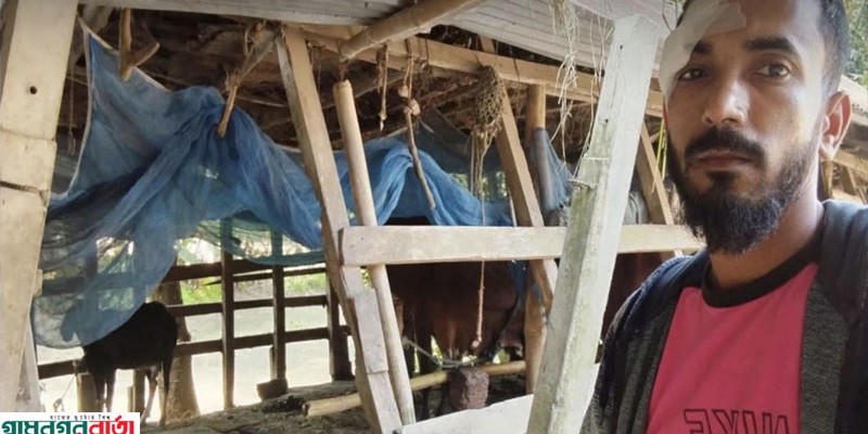 গরু চুরি করতে দেখে ফেলায় মালিককে ছুরিকাঘাত করে পালালো দুর্বৃত্তরা