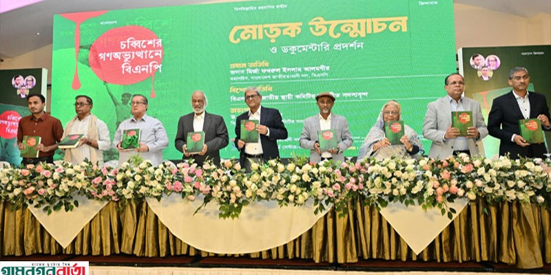 গণতন্ত্র প্রতিষ্ঠা করতে ‘মব ভায়োলেন্স’ থেকে সরে আসতে হবে: মির্জা ফখরুল