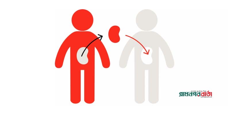 মানবদেহে অঙ্গ-প্রত্যঙ্গ সংযোজন অধ্যাদেশের গেজেট জারি