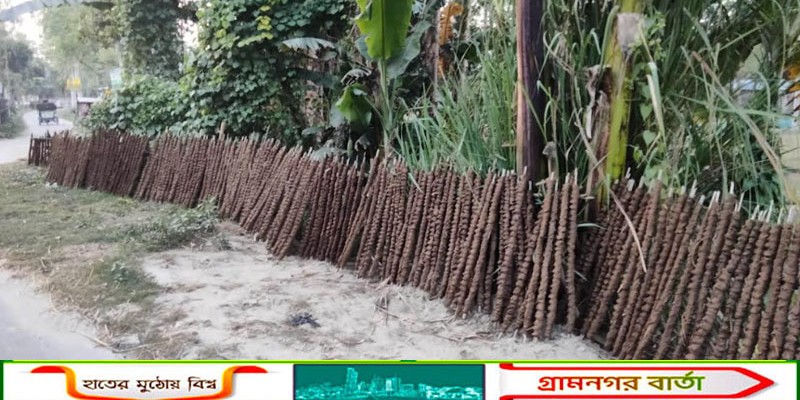 আর কাউনিয়ায় হাজার হাজার টন জৈব সার যায় চুলায়, উদাসীন কর্তৃপক্ষ