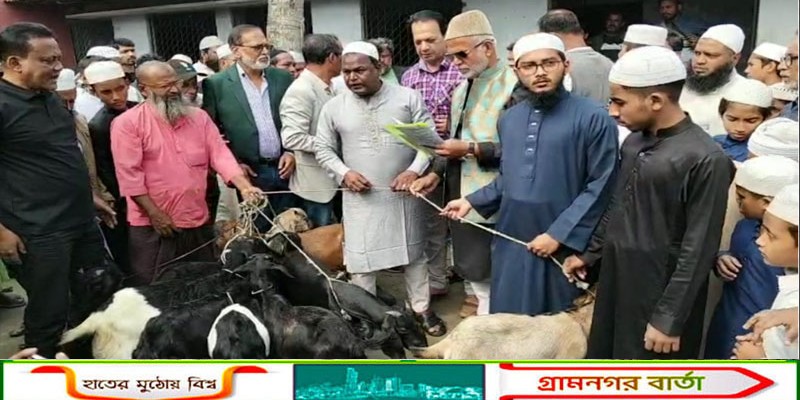 খালেদা জিয়ার রোগমুক্তি কামনায় ছাগল বিতরণ