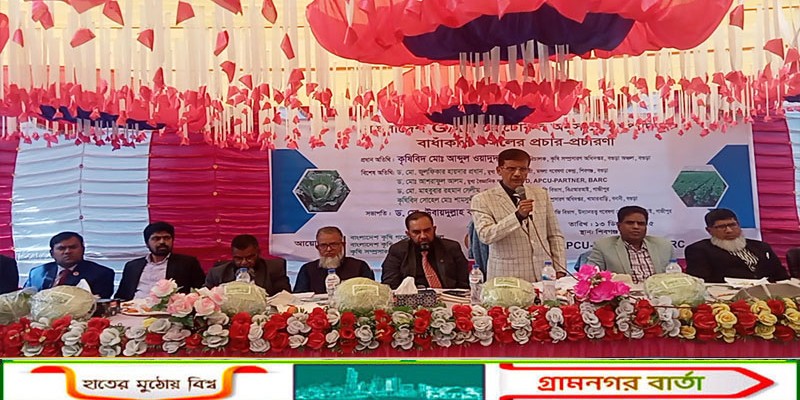 শিবগঞ্জে উৎপাদিত  বাঁধাকপি ফসলের GAP প্রটৌকলের  প্রচার- প্রচারণা অনুষ্ঠান 