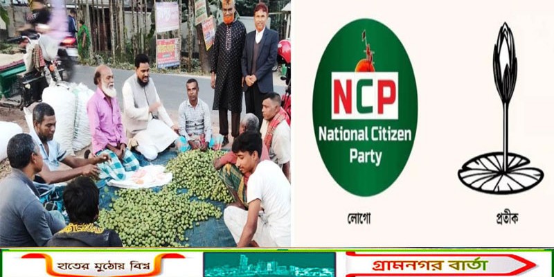 কাউনিয়ায় প্রচার প্রাচারনায় ব্যাস্ত এনসিপি সদস্য সচিব আখতার হোসেন