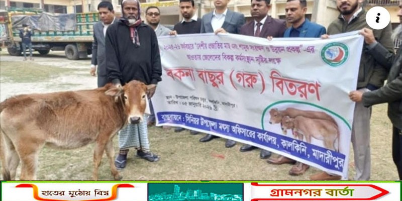 কালকিনিতে জেলেদের মাঝে বাছুর বিতরণে অনিয়ম