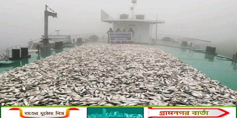 গজারিয়া হতে প্রায় ৬৯ লাখ টাকার জাটকা আটক 