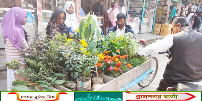 কাউনিয়ায় ভ্রাম্যমান নার্সারির ব্যবসায়ীর সংখ্যা বাড়ছে