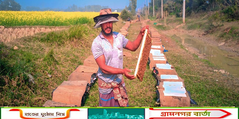 নন্দীগ্রামে সরিষা ফুলের খাঁটি মধু সংগ্রহের ধুম, বাড়ছে ফলন ও আয়