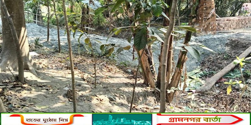 আদালতের নিষেধাজ্ঞা অমান্য করে সরকারি খাল ভরাটের অভিযোগ