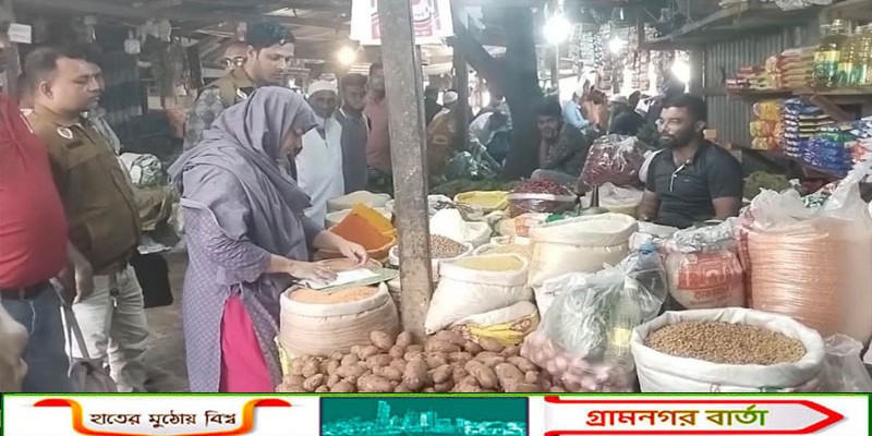 ক্রেতা সেজে শিবচর বাজারে অভিযান চালালেন ম্যাজিস্ট্রেট শাইখা সুলতানা, বিভিন্ন দোকানে জরিমানা