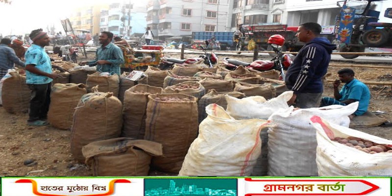 আদমদীঘিতে এবারও ন্যায্য মূল্য পাচ্ছে না আলু চাষীরা