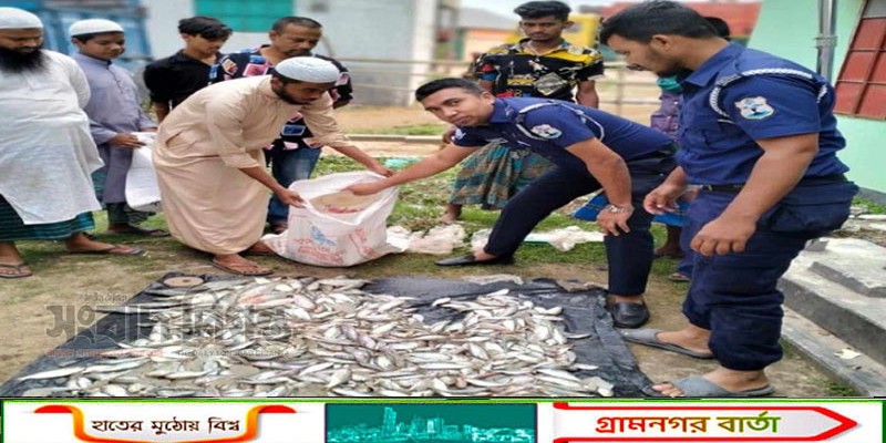 মুন্সীগঞ্জে নৌ পুলিশের অভিযানে ৭০ কেজি জাটকা জব্দ 