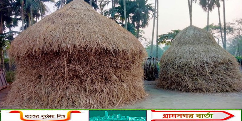 কাউনিয়ায় গ্রাম-বাংলা থেকে খড়ের গাঁদা বিলুপ্তির পথে