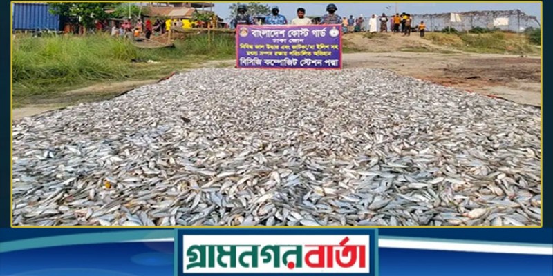 মুন্সীগঞ্জে ২০ লাখ টাকার জাটকা জব্দ