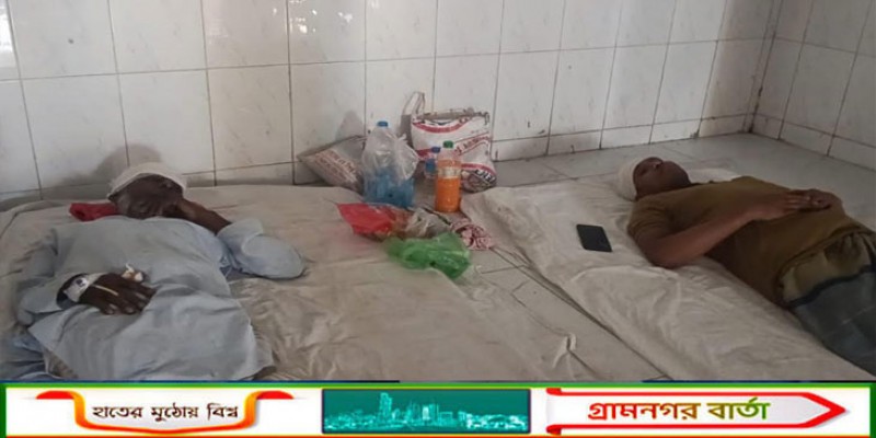 মাদারীপুরে জমি জমা বিরোধীদের জেরে বাবা ছেলেকে কুপিয়ে জখম