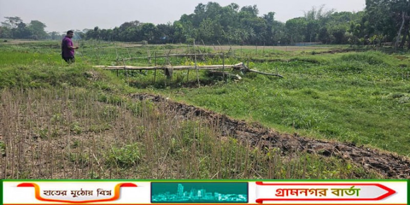 মাদারীপুরে জ্বালানি সংকট: বোরো মৌসুমে সেচ নিয়ে দুশ্চিন্তায় কৃষক