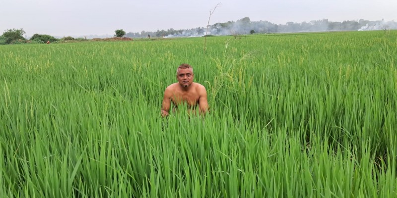 জ্বালানি তেল সংকটে সিরাজদিখানে বোরো ধান চাষে চরম দুশ্চিন্তায় কৃষক