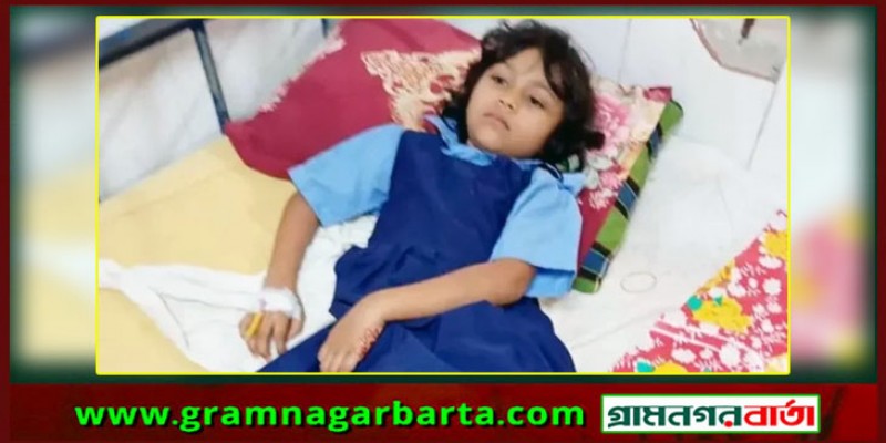 মাদারীপুরে সরকারি টিফিন খেয়ে ৬ বিদ্যালয়ের ৩০ শিক্ষার্থী অসুস্থ, হাসপাতালে ভর্তি ৬