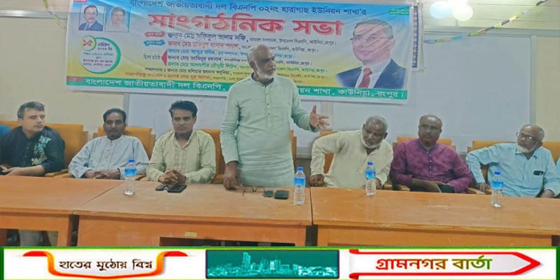 হারাগাছে বিএনপি সাংগঠনিক সভা