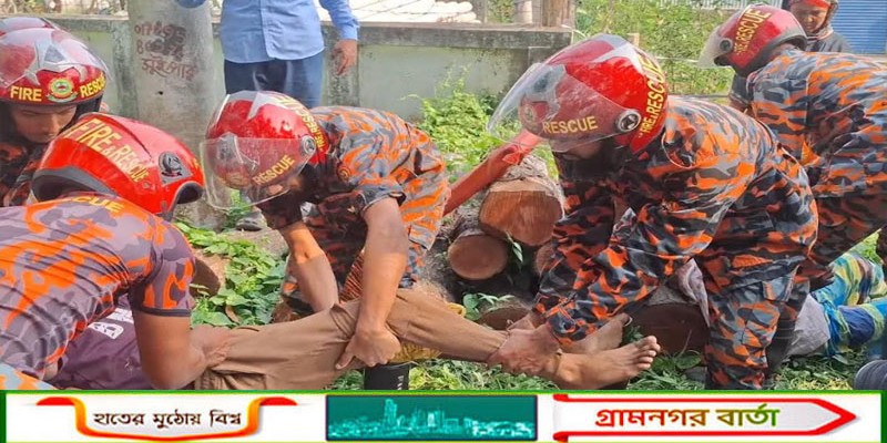 শ্রীনগরে সিএনজি-পিকআপ সংঘর্ষে অন্তঃসত্ত্বা নারীসহ আহত ৭