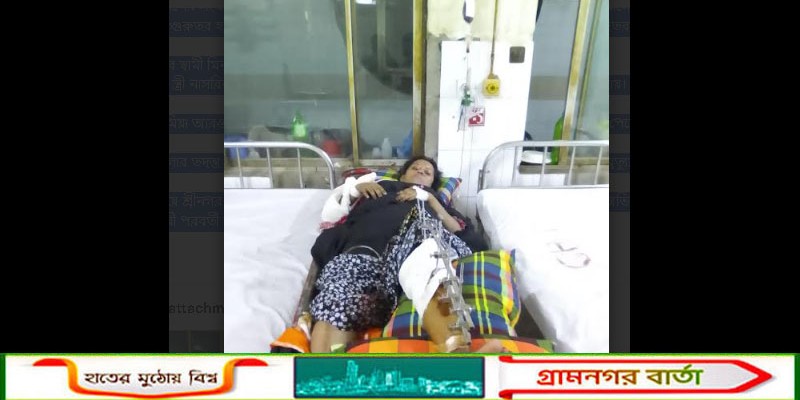 শ্রীনগরে সিএনজি-পিকআপের সংঘর্ষে আহত নারীর মৃত্যু    