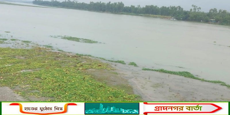 কাউনিয়ায় টানা বৃষ্টি, তিস্তা নদীতে পানি বৃদ্ধি, উর্তি ফসলের ক্ষতির শঙ্কা