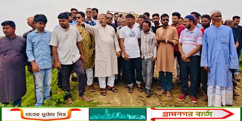 সিংড়ায় ফসল বাঁচাতে চলছে কৃষকের আপ্রাণ লড়াই