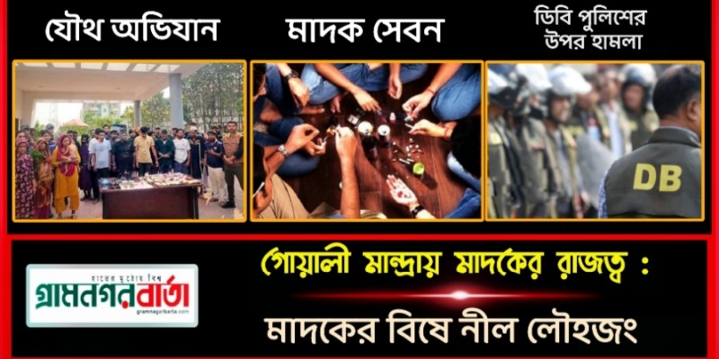 গোয়ালীমান্দ্রায় মাদকের রাজত্ব: মাদকের বিষে নীল লৌহজং