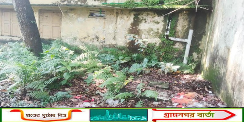রংপুরের কাউনিয়া উপজেলা ক্যাম্পাস যেন মশা উৎপাদনের অভয়আশ্রম