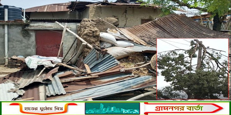 আদমদীঘিতে কালবৈশাখী ঝড়ে লন্ডভন্ড ঘরবাড়ি, বিদ্যুৎ বিচ্ছিন্ন এলাকা