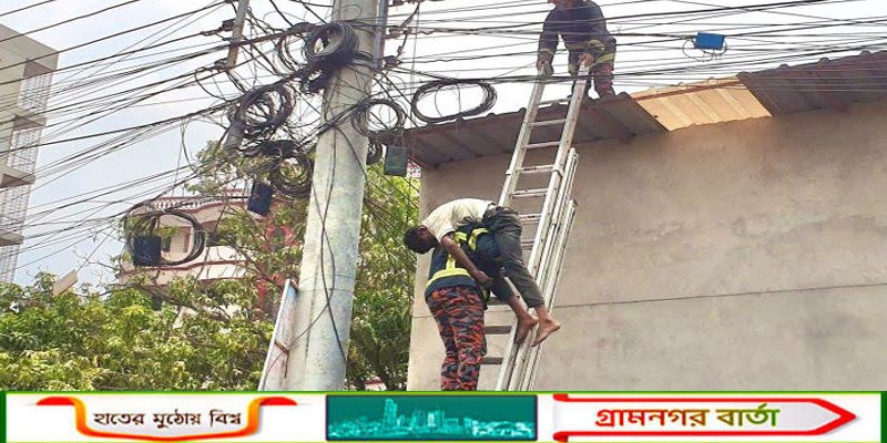 রাজশাহীতে ঘুঘুর বাচ্চা ধরতে গিয়ে বিদ্যুতের খুঁটিতে প্রাণ গেলো কিশোরের