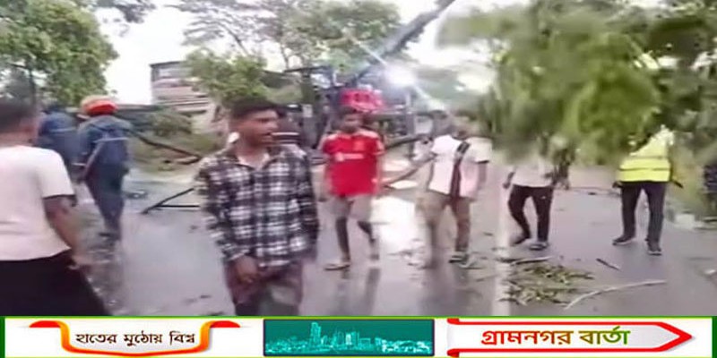 গজারিয়ায় ঝড়ে গাছ ভেঙ্গে পড়েছে মহাসড়কে, সৃষ্টি হয়েছে তীব্র যানজট